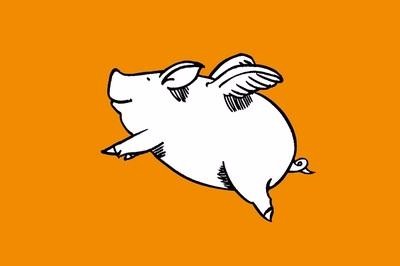 飞猪买了延误 飞猪买的延误险怎么办