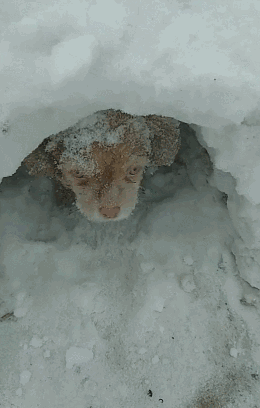 260_408竖版 竖屏gif 动态图 动图