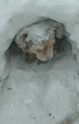 260_408竖版 竖屏gif 动态图 动图