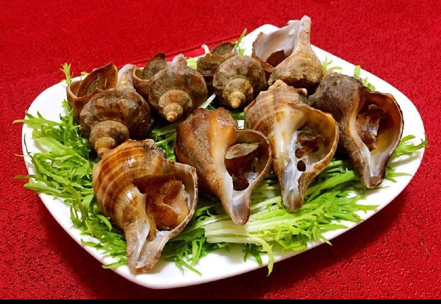 海螺怎么做好吃,和什么搭配最好?海螺有哪些食用禁忌?建议收藏|海螺|葱段|姜片_新浪新闻