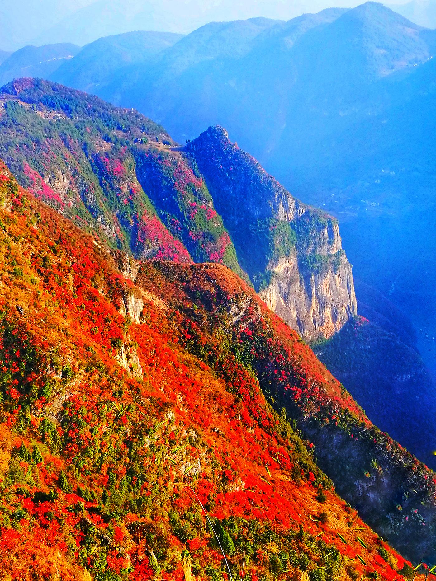 分享一组 手机优秀摄影《三峡红叶》 photo 闪金光《钢管舞》 pho