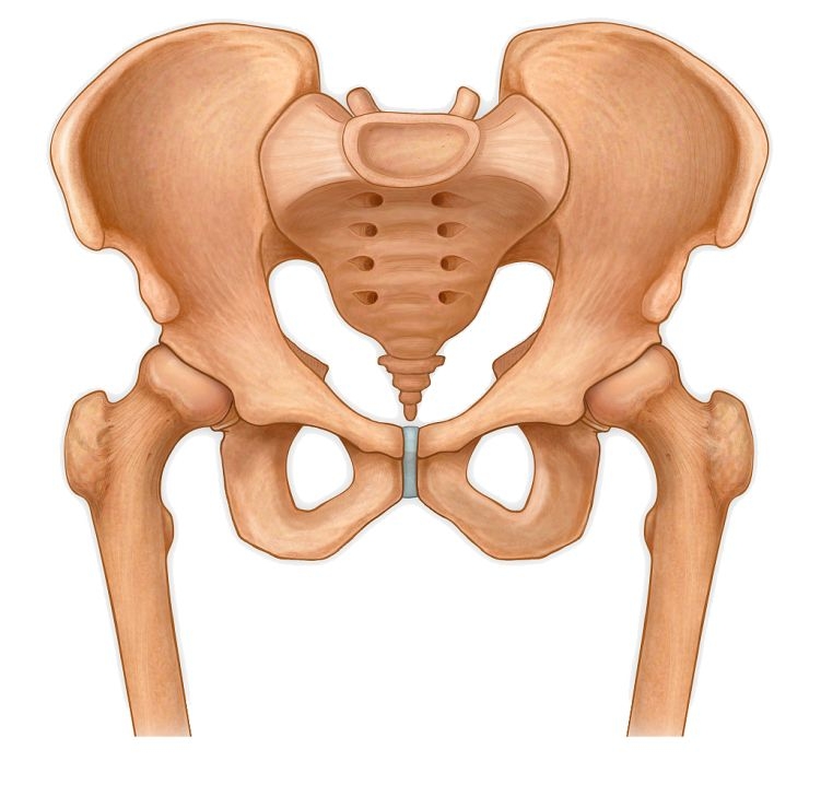 产后骨盆特护面部护理,家居保养,疤痕妊辰纹修复等一系列服务,让你的