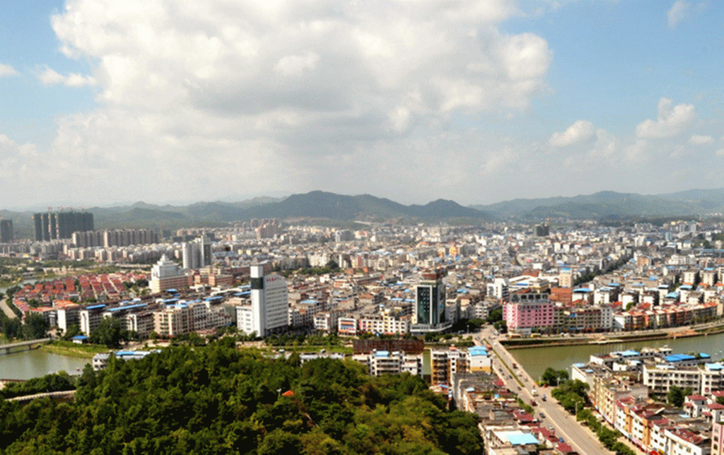 南康seo优化招商