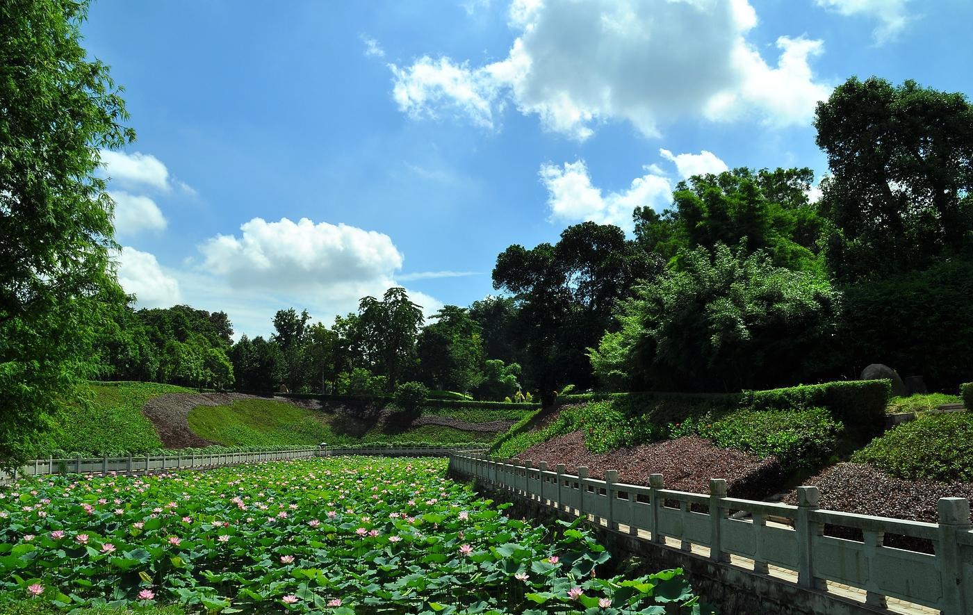 中山市有个最大的树木园, 是一个环境好免费的景点