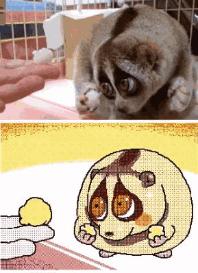 变成gif的动物们瞬间蠢萌