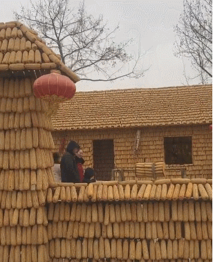 搞笑gif动图:兄弟,你这样就不要来地铁摸手了吧!
