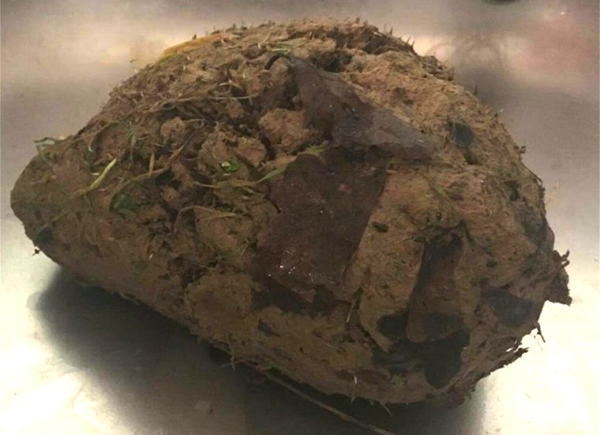 小哥野外踢球,无意踢到一坨小泥块,未料还会跑起来