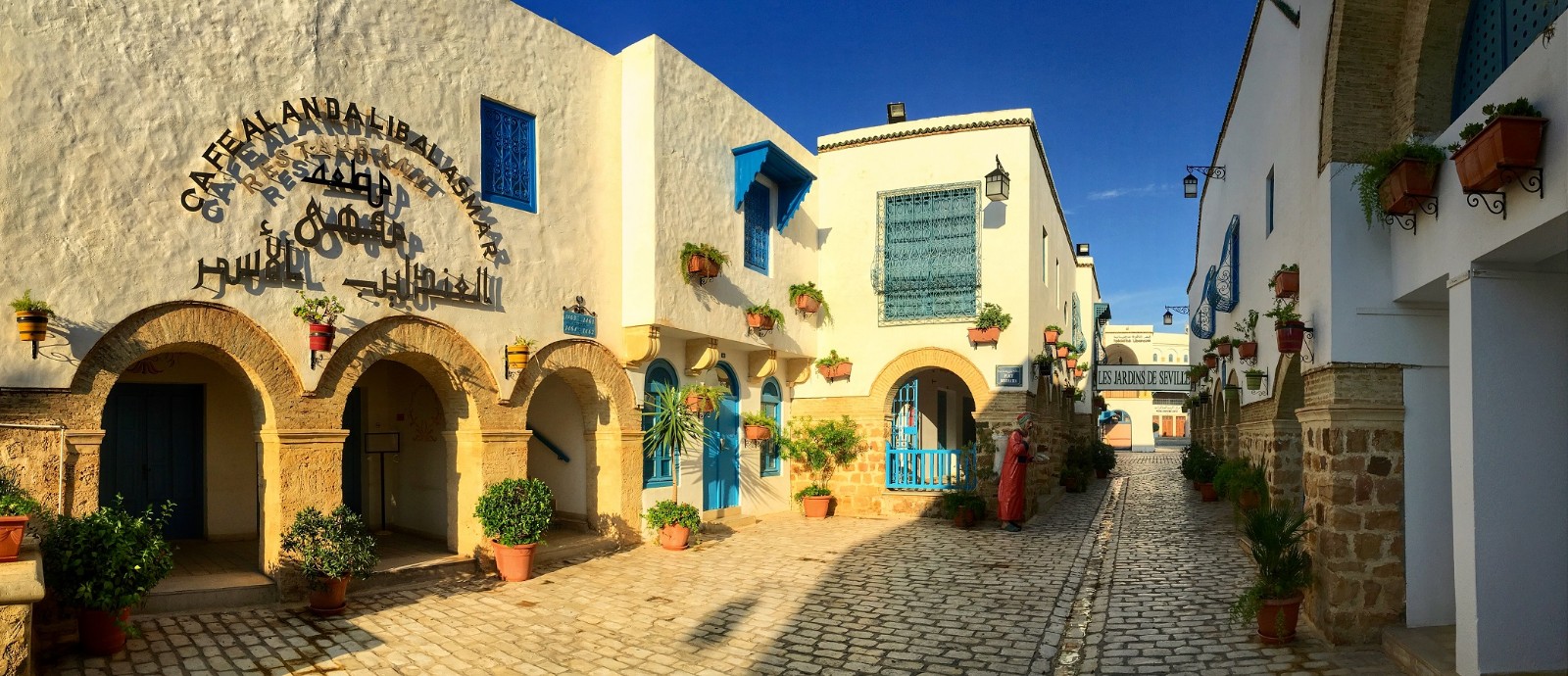 最美的是哪条呢?