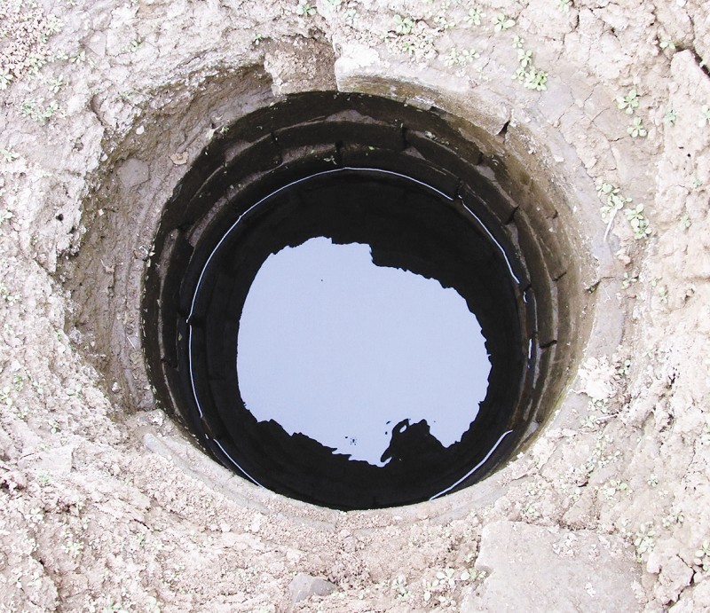 水井里的鱼虾有啥作用?朋友们速来了解一下