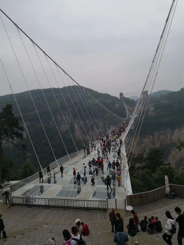 柳州四位"小姐姐"张家界平凡之路,天门山,玻璃桥大秀勇者魅力