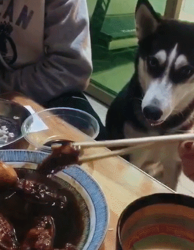 381_489竖版 竖屏gif 动态图 动图