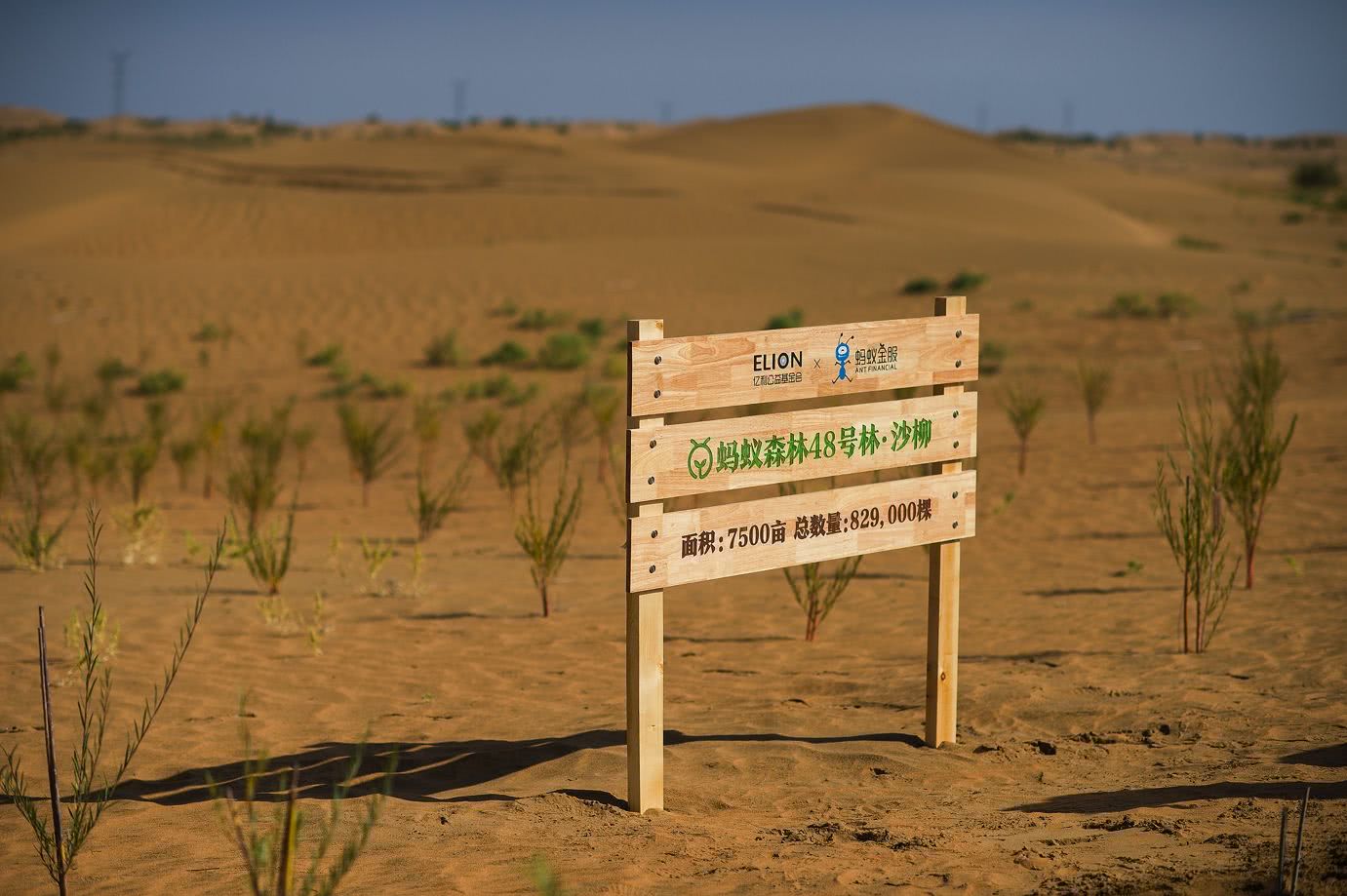 朋友在蚂蚁森林已种了7棵树了你有种树吗