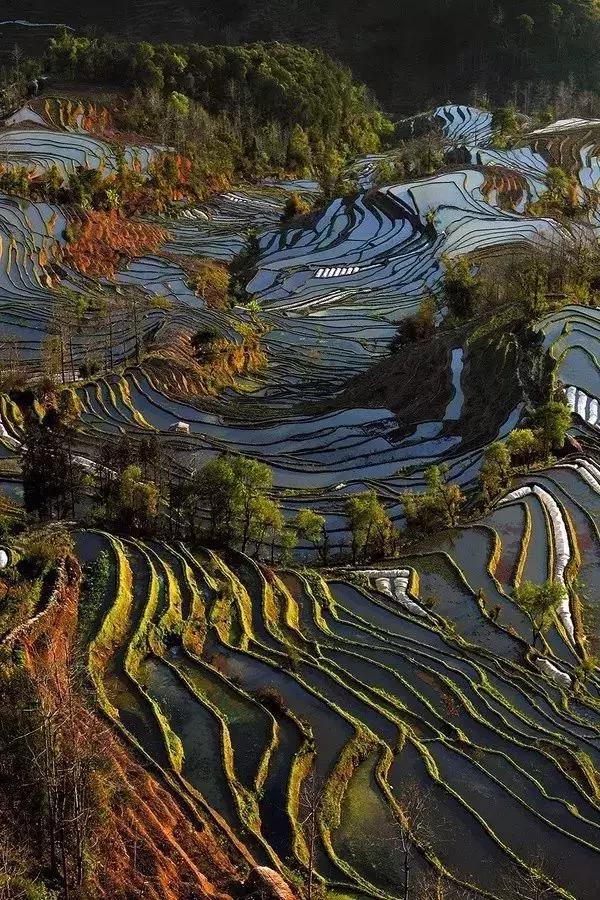 绝美照片敢说有几张是你亲自见过的