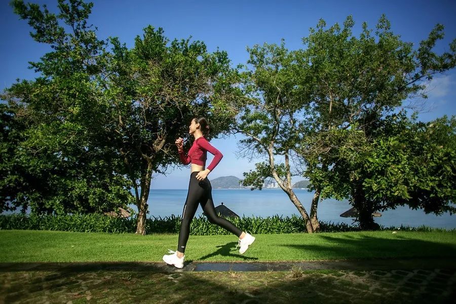 与阳光同行,与海水齐跑,三亚文华东方晨跑线路体验