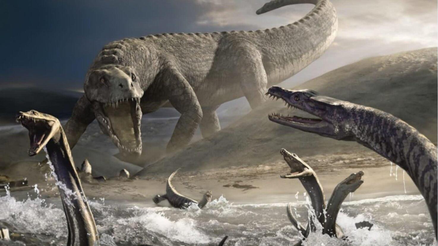 野猪鳄有多可怕?它统治了海底世界,上陆后恐龙见到也要绕道走