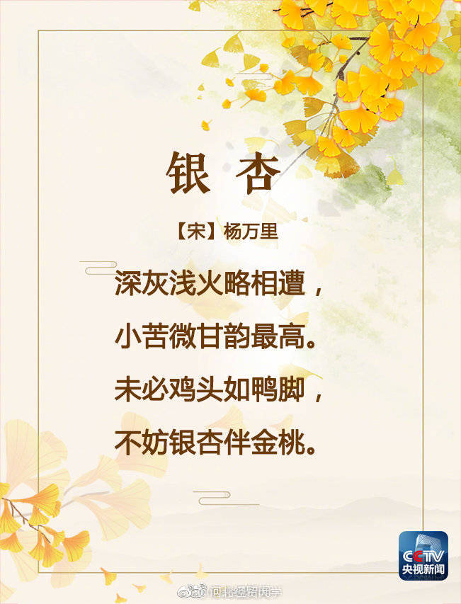 美吟诵银杏美景的古诗词你会背几首