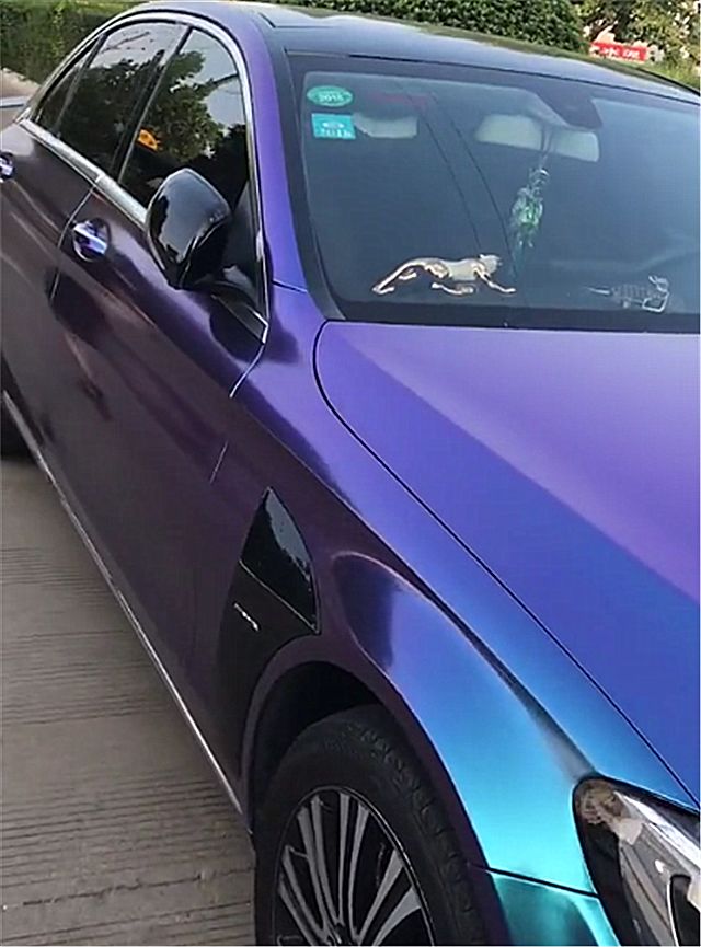 金华偶遇一辆彩色漆奔驰车牌是顺子车尾还有amg标识