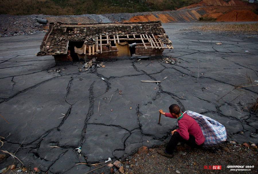 中科院在重金属污染修复方面取得重要进展