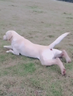 搞笑gif动图:兄弟,你这样就不要来地铁摸手了吧!