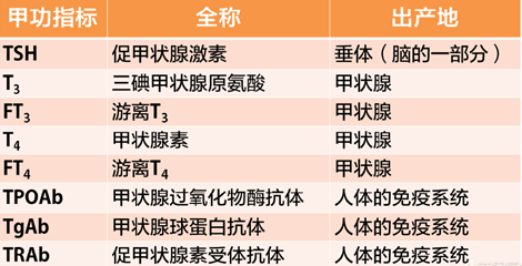 教你如何解读甲功检查报告单!