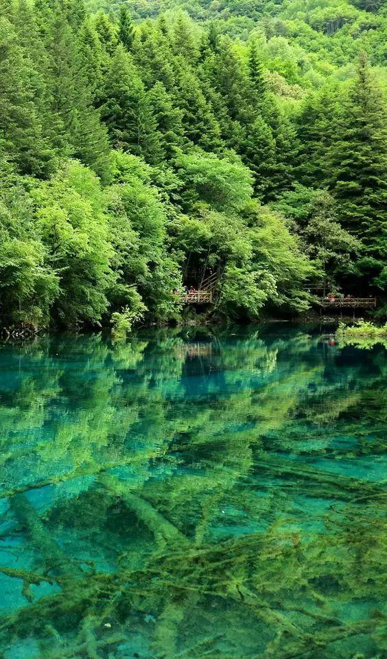 九寨沟景区3月重新开放!还多了一处新景观!