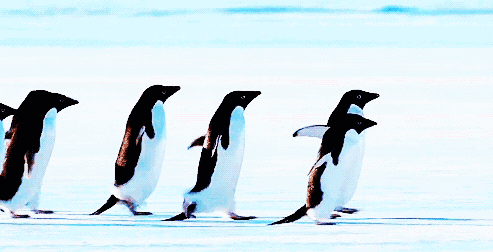 当心跑步时出现这些信号可能是猝死前兆人人都该看