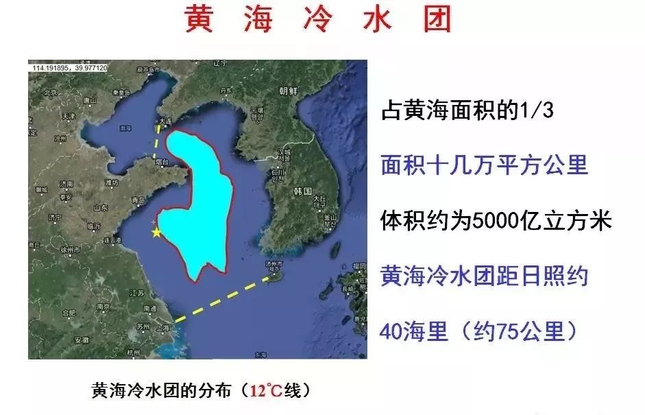 中国三文鱼之都·岚山!没错!以后请这样叫我!