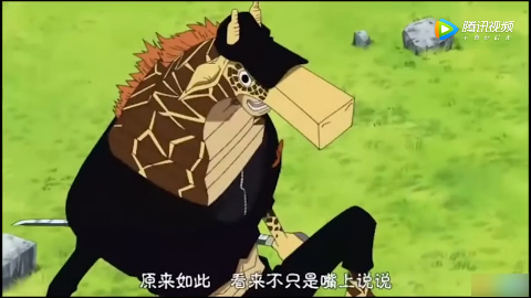 海贼王索隆经典对战之cp9卡古