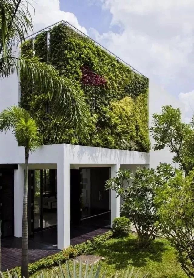 垂直绿化绿色建筑却是能呼吸的房子
