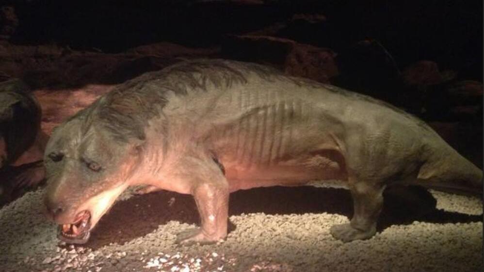 史前巨猪有多凶残?可直接咬碎动物骨头,连剑齿虎看到都会拐头跑