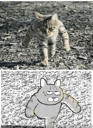 变成gif的动物们瞬间蠢萌