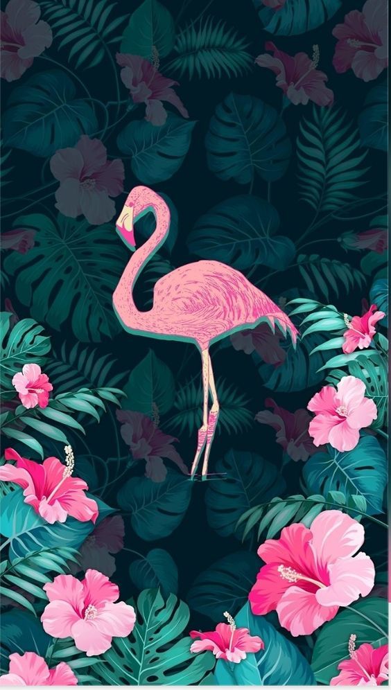 优雅火烈鸟绘画