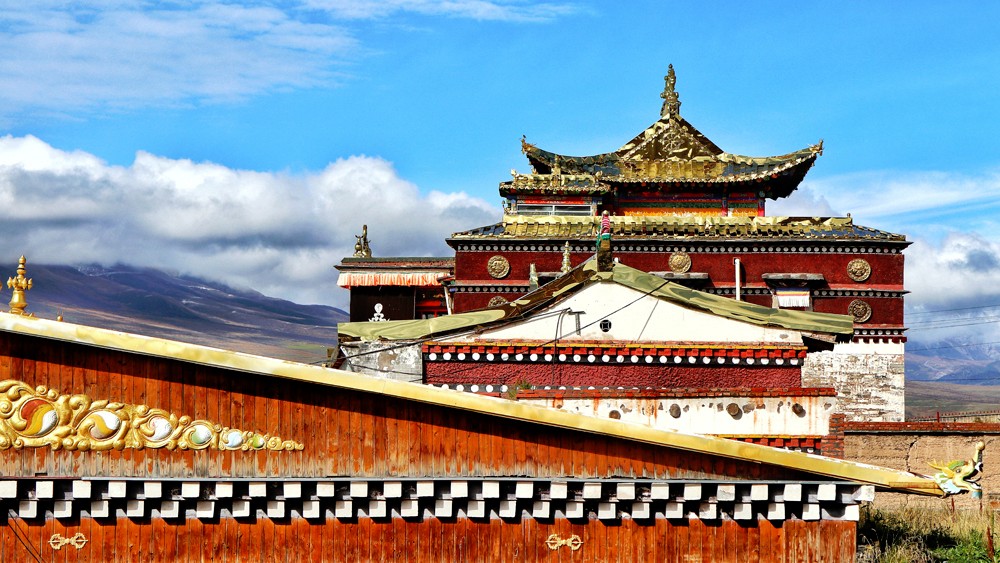 阿柔大寺虔诚满满活力足足67