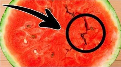 是毒瓜|佝偻病|西瓜|壮壮_新浪新闻