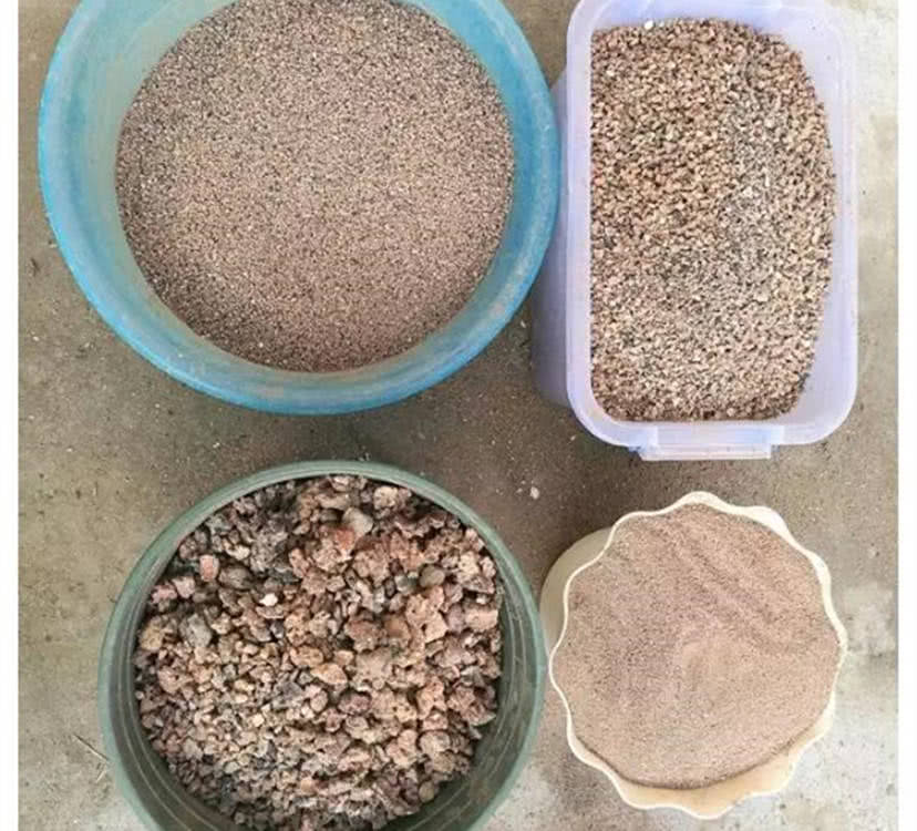 背着女朋友用煤渣养多肉省下私房钱嘻嘻