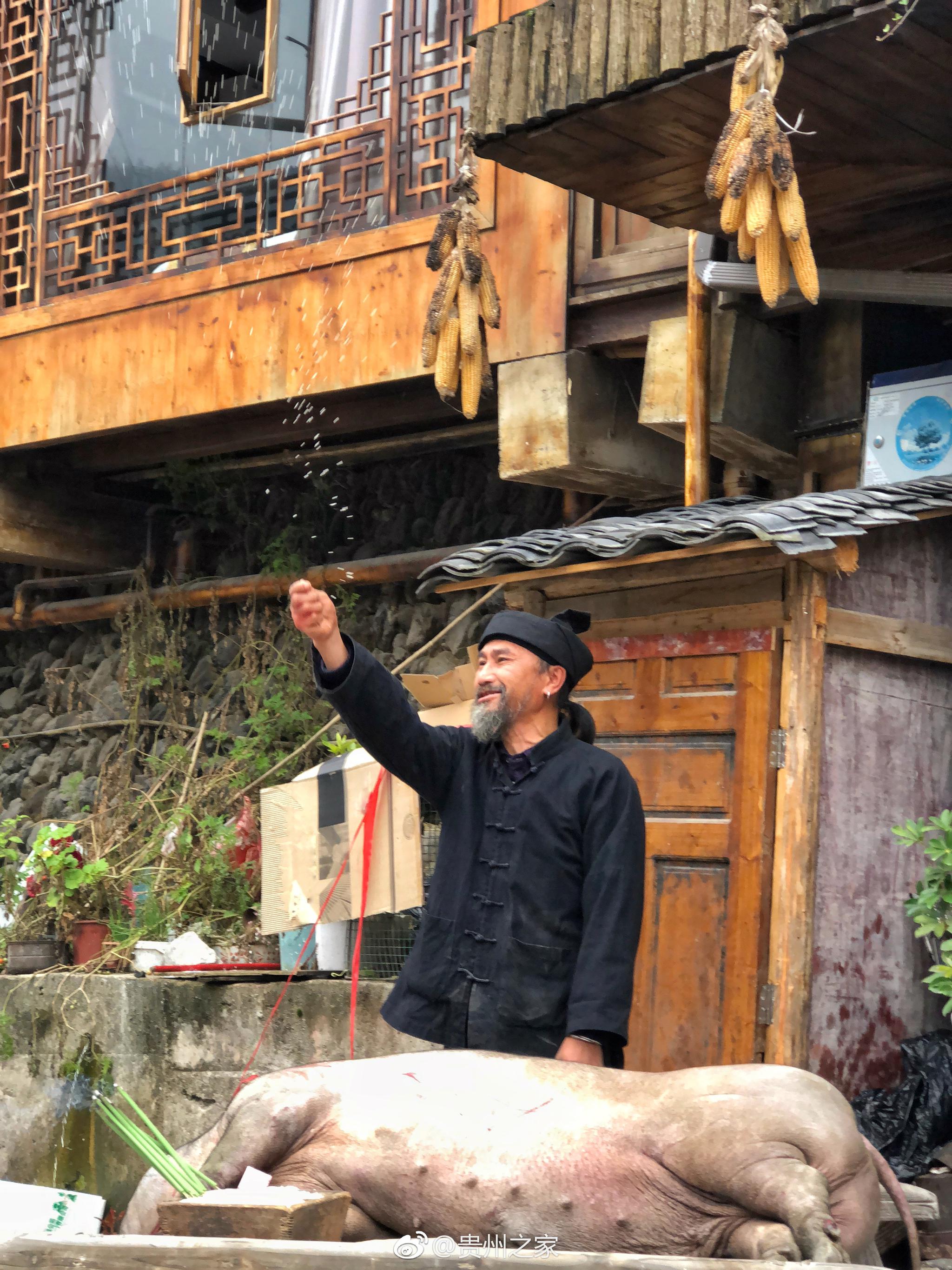 贵州凯里苗族的杀猪宴,是苗族人民为了庆祝新年到来的一种方式_新浪新闻