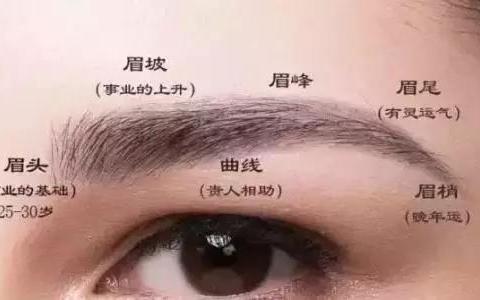面相学:眉毛可以看出什么?_新浪新闻