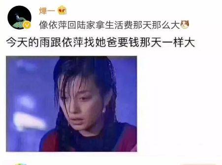 今天的雨跟依萍找他爸要钱那天一样大,网友:这是什么梗?