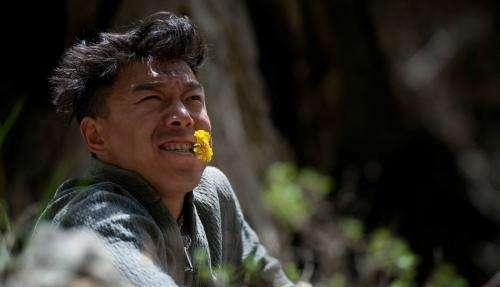 为救傻子迟到葬礼, 哪知傻子身份不一般, 收获五十万