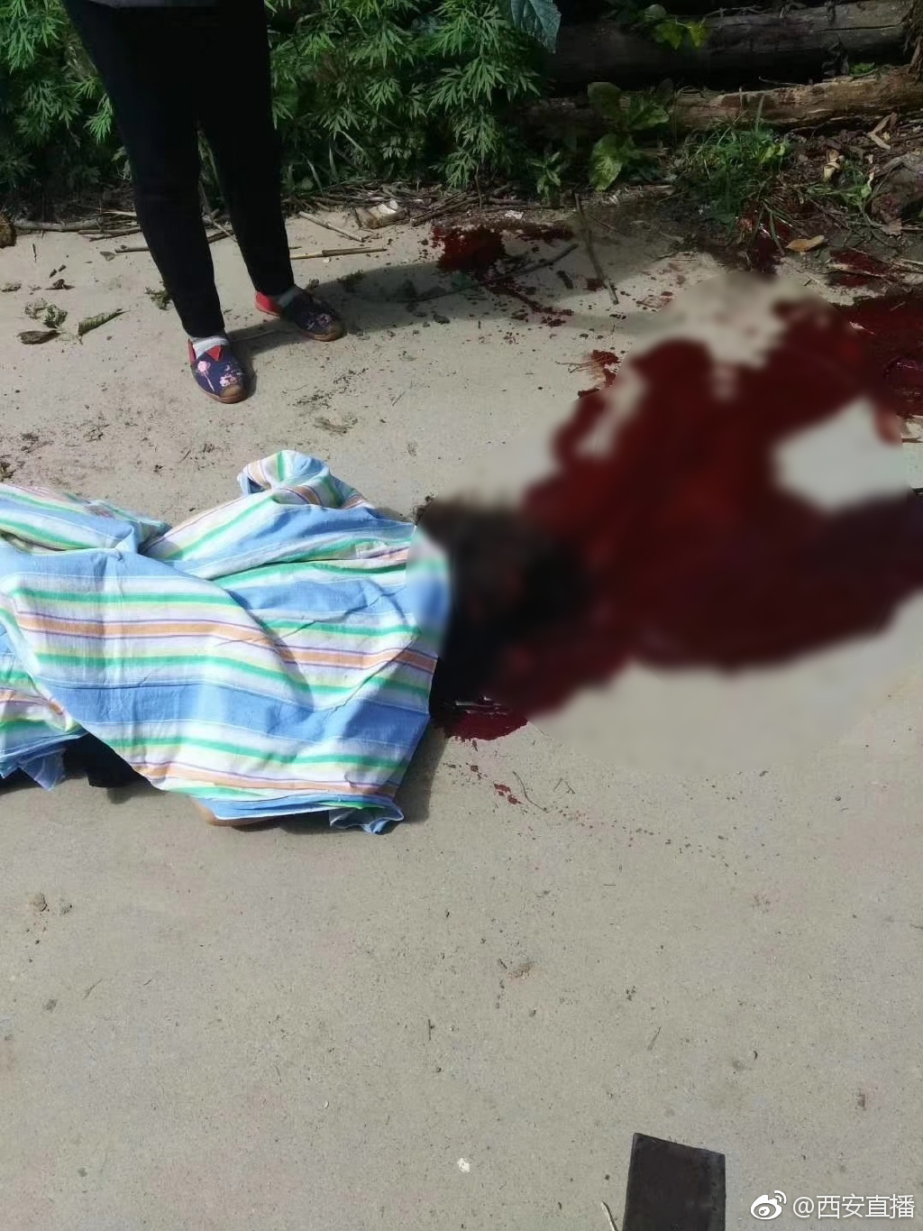 只因多看一眼 周至男子菜刀砍死俩邻居[怒]