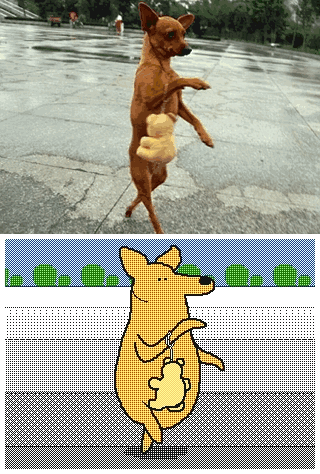 变成gif的动物们瞬间蠢萌