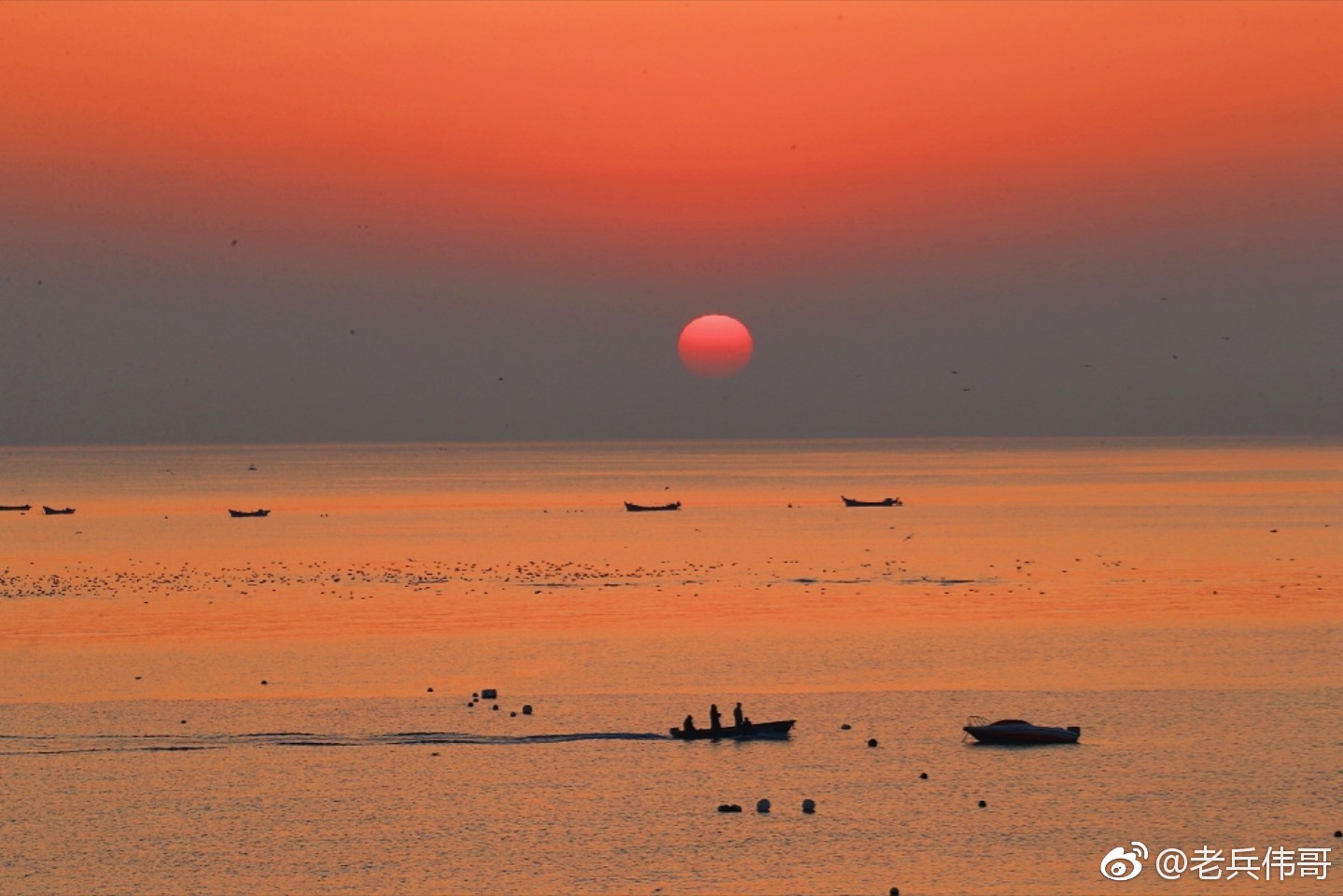 可以不去看浪花把晨曦和余晖的光芒一层一层铺陈在海面……这里是大连