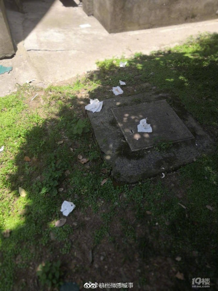 上住户抛大便还在继续,小孩子大便一包一包抛下来,树枝上,地上都是