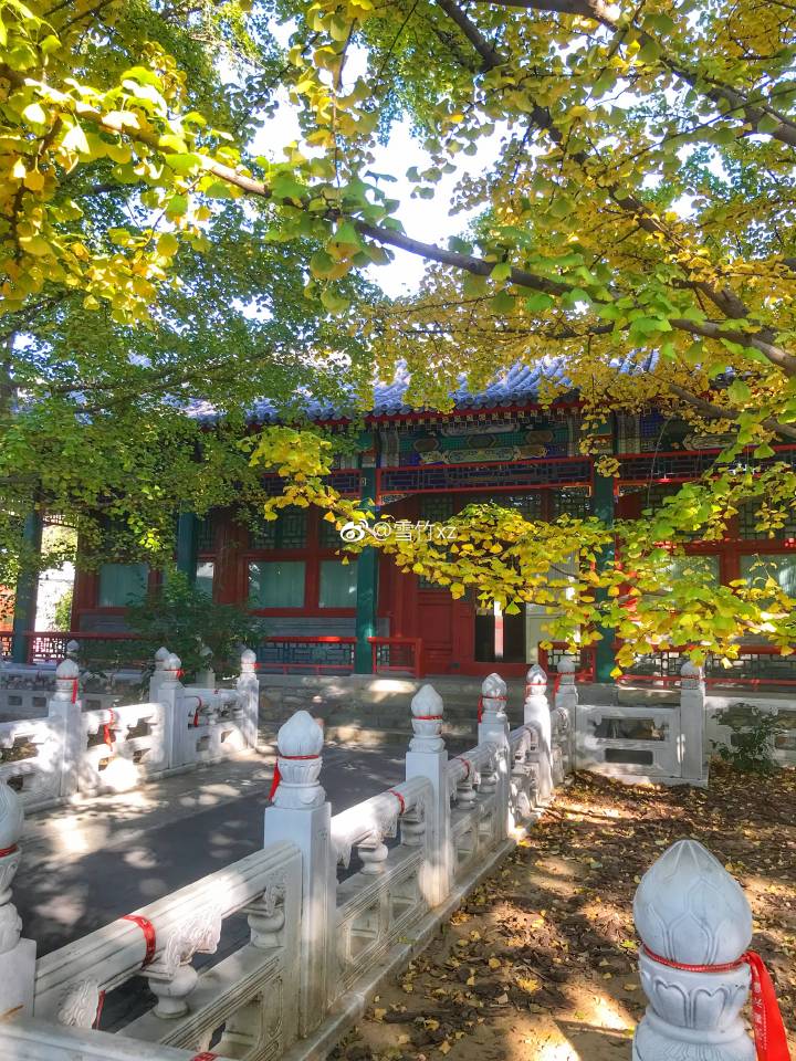 深秋中的北京紫竹院公园行宫禅院,秋色尽染