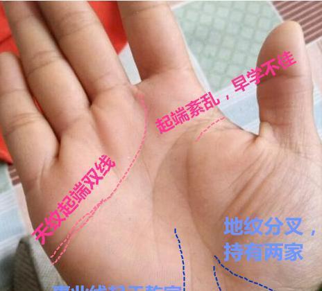 感情线起端两条, 注定有两段婚姻码, 头婚必离异, 再婚才幸福美满