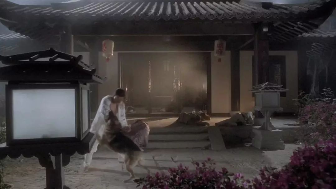 盘点周星驰电影里出现的狗狗,为什么星爷电影里总是有狗呢