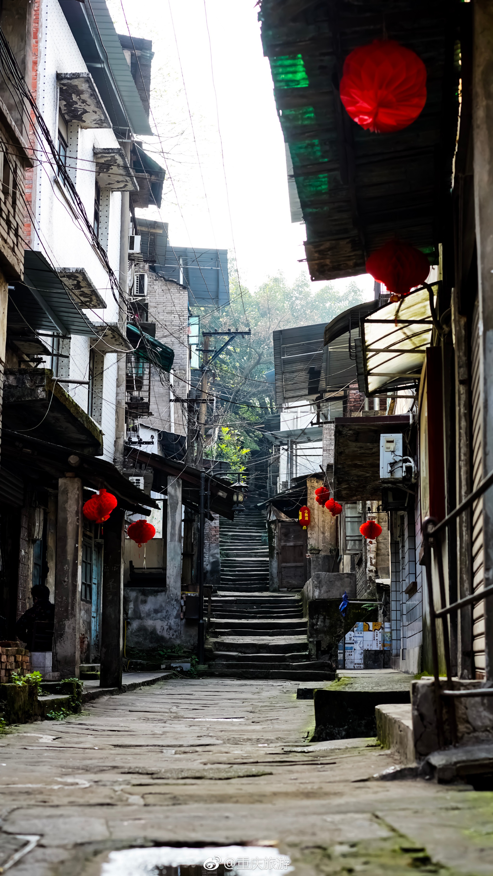 黄葛古道|古道|重庆|黄桷垭_新浪新闻