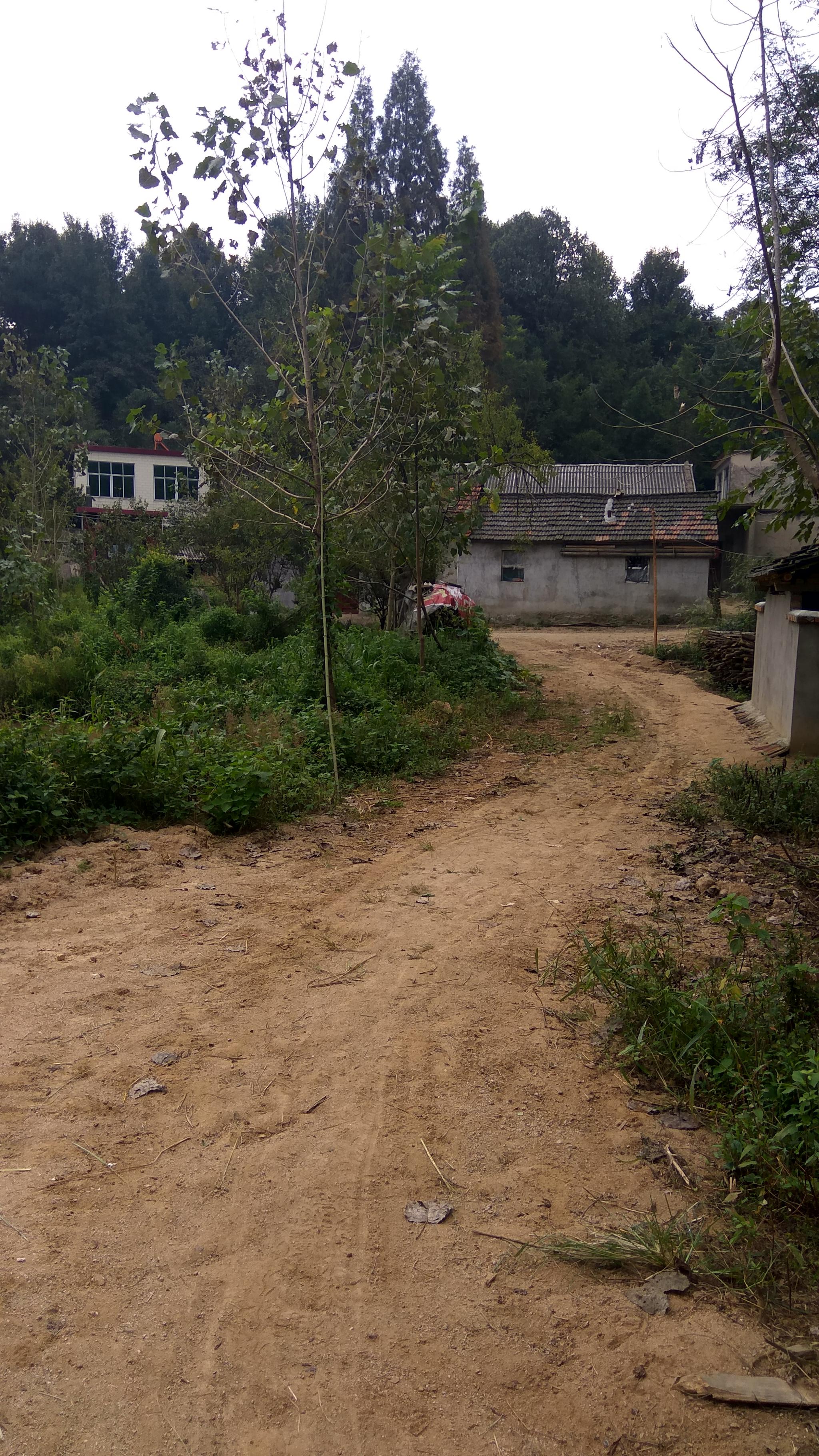 河南信阳农村很多村庄无人居住