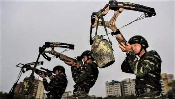 中国特种兵最强冷兵器十字弓弩最变态一箭打碎大象骨头