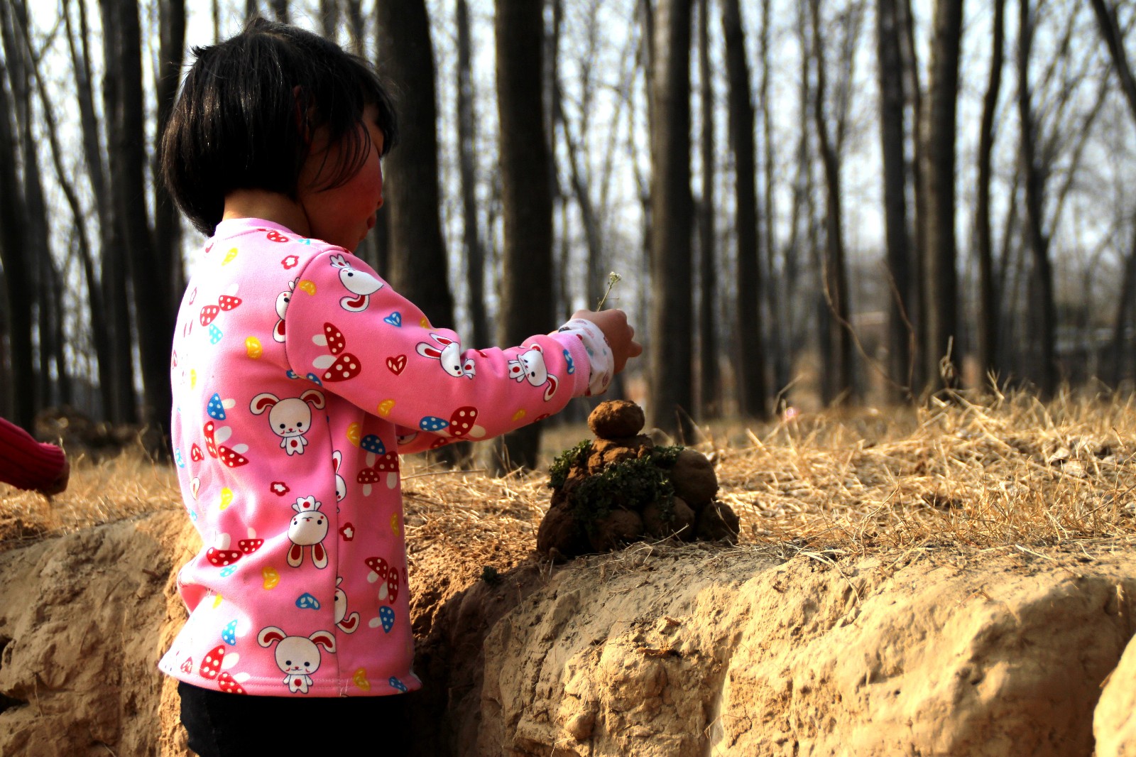 图为一个小女孩把一个个的泥球摆好规整,认真的态度让其沉醉在其中.